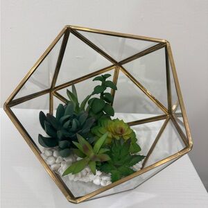 Geometric Glass Terrarium with Succulents